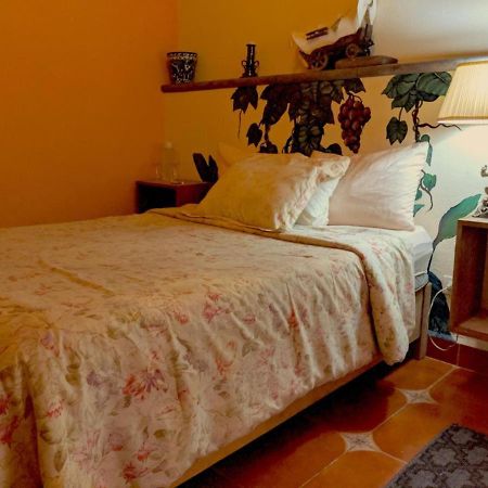 Bed and Breakfast Pozzito Boutique San Miguel de Allende Exteriér fotografie