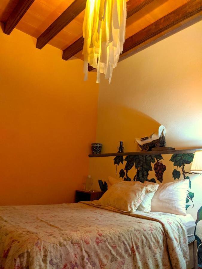 Bed and Breakfast Pozzito Boutique San Miguel de Allende Exteriér fotografie