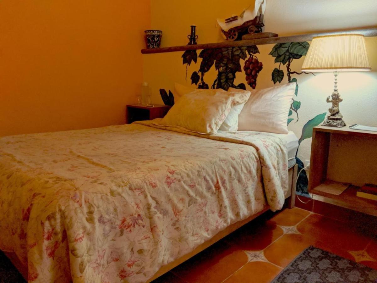 Bed and Breakfast Pozzito Boutique San Miguel de Allende Exteriér fotografie